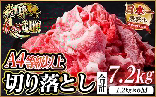 レビューキャンペーン実施中!＜毎月定期便＞飛騨牛 厳選切り落とし 計7.2kg全6回　小分け【4055983】