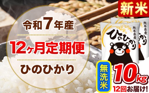 新米 令和7年産【12ヵ月定期便】 無洗米 ひのひかり 定期便 10kg 5kg×2袋《お申込み翌月から出荷開始》 熊本県産 精米 ひの 米 こめ ヒノヒカリ コメ お米  1582161 - 熊本県津奈木町