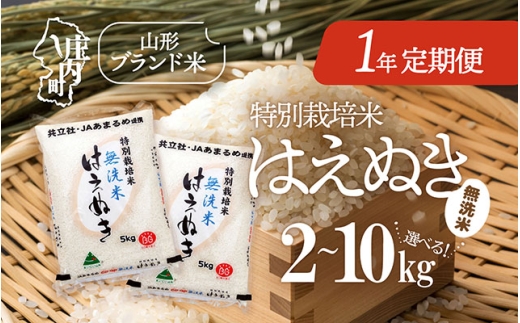 [11月中旬開始]庄内米1年定期便!特別栽培米はえぬき無洗米 選べる内容量 2kg / 5kg / 10kg(入金期限:2025.10.25) ブランド米 2025年産
