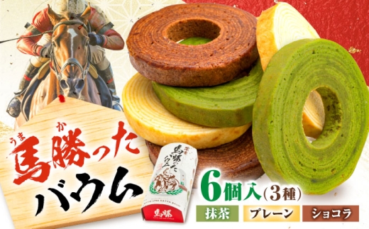 馬勝ったバウム(6個入り)×1箱 約340g / バウムクーヘン バームクーヘン スイーツ 洋菓子 焼き菓子 / 栗東市 / サロン ド カフェ アプリ [BIAH011]