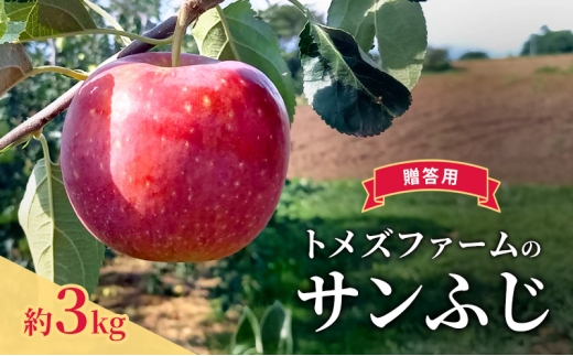 サンふじ（贈答用） 約3kg（8玉〜12玉入り）トメズファーム　りんご　長野　信州　小諸　果物　フルーツ [№5915-1658]