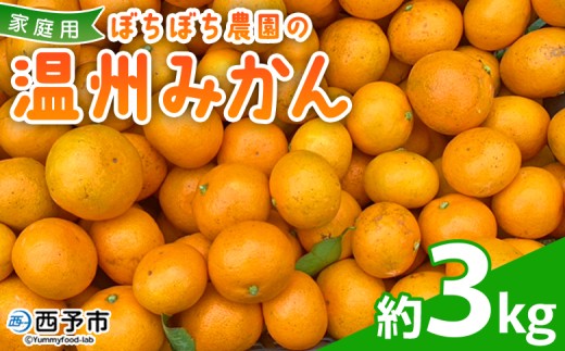 ＜ぼちぼち農園の温州みかん 家庭用 3kg＞ 3キロ うんしゅうみかん 温州ミカン 訳あり わけあり ワケアリ 果物 みかん ミカン 柑橘 フルーツ 国産 特産品 ぼちぼち農園 愛媛県 西予市【常温】『2025年11月～12月迄に順次出荷予定』