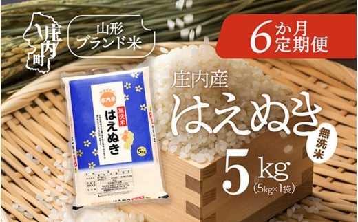 ＜11月中旬発送＞庄内米6か月定期便！はえぬき無洗米 5kg（入金期限：2025.10.25）