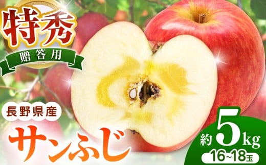 贈答用(特秀)　サンふじ　約5kg　16～18玉　【数量限定】 ｜ サンふじ さんふじ 林檎 りんご 長野県 松本市 果物 フルーツ ふるさと納税 2336604 - 長野県松本市