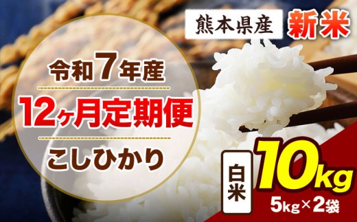 【12ヶ月定期便】令和7年産 定期便 こしひかり 10kg 新米 白米 阿蘇 うぶやま 米 定期便 熊本県産 ふるさと納税 精米 ひの 米 こめ ふるさとのうぜい コシヒカリ コメ お米 おこめ《申込み翌月から出荷》
