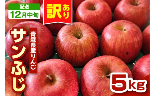 【2025年12月中旬発送】りんご　青森 サンふじ 5kg 程度 《 訳あり 》 農家直送 サンフジ 青森県 五所川原市 傷 キズ ワケアリ 林檎 リンゴ apple
