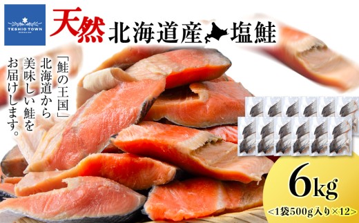 北海道産 塩サケ切り身 6kg しゃけ サケ 海鮮 魚 切り身 2261574 - 北海道天塩町