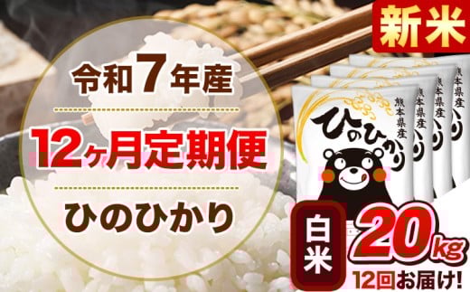 新米 令和7年産【12ヵ月定期便】 白米 ひのひかり 定期便 20kg 5kg×4袋《お申込み翌月から出荷開始》 熊本県産 精米 ひの 米 こめ ヒノヒカリ コメ お米