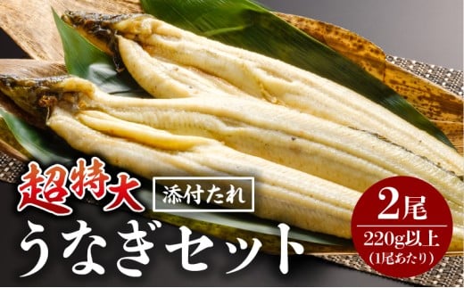 《2026年1月発送予定》うなぎ白焼(超特大サイズ) 2尾_M069-023-jan