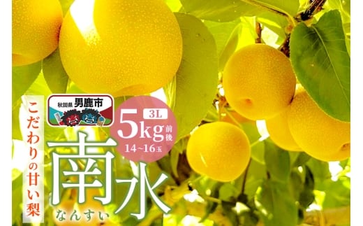 【先行受付】10月中旬～下旬発送 南水 梨 こだわりの甘い梨 5kg前後 3L 14～16玉 産地直送 旬の果物 ギフト 秋田県 男鹿市 2125817 - 秋田県男鹿市