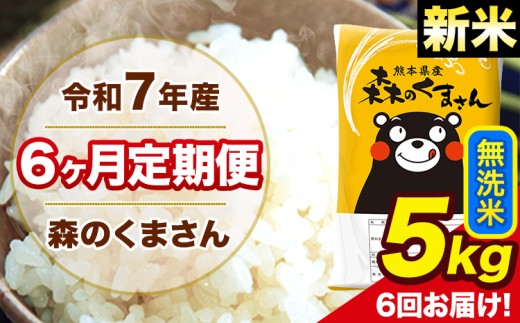 新米 令和7年産 森のくまさん 無洗米 5kg 5kg×1袋 計6回お届け 《お申し込み月の翌月から出荷開始》 お米 こめ 熊本県産 ご飯 備蓄