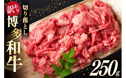 牛肉 訳あり A4 A5 博多和牛 切り落とし 250g [木村食品 福岡県 筑紫野市 21761362] 訳アリ 牛 肉 牛バラ 肩肉 バラ肉 2261118 - 福岡県筑紫野市