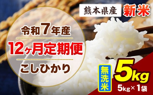 【12ヶ月定期便】令和7年産 定期便 こしひかり 5kg 新米 無洗米 阿蘇 うぶやま 米 定期便 熊本県産 ふるさと納税 精米 ひの 米 こめ ふるさとのうぜい コシヒカリ コメ お米 おこめ《申込み翌月から出荷》