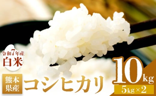 米 白米 コシヒカリ 令和7年産 10kg 森田農園《9月中旬-10月中旬頃出荷》 熊本県 苓北町 米 こめ コメ 熊本県産 こしひかり コシヒカリ 白米 天草