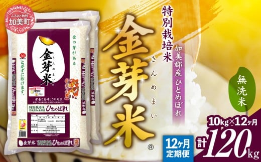 【 定期便 12回 】 米 無洗米 金芽米 令和7年 宮城県 加美産 ひとめぼれ 特別栽培米 10kg × 12回 計 120kg [ 宮城県 加美町 ] km-km-knm10-t12-r7