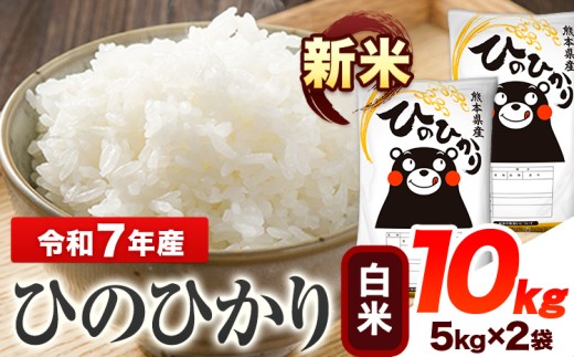 令和7年産 ひのひかり 新米 白米 10kg 《9月下旬-11月上旬頃出荷》 熊本県産 白米 精米 ひの 送料無料 熊本県 山江村