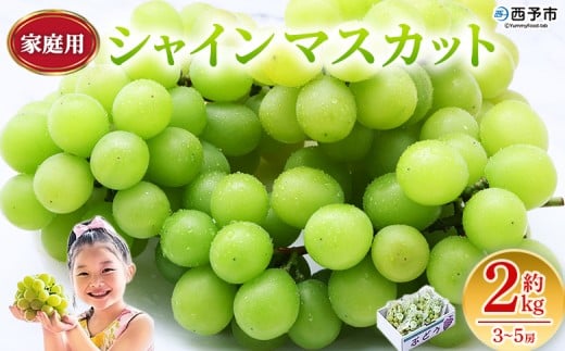 ＜シャインマスカット 家庭用 約2kg＞ 果物 くだもの フルーツ ぶどう 葡萄 ブドウ シャインマスカット しゃいんますかっと 3～5房 2キロ ご家庭用 種なし 甘い 皮ごと 特産品 宇都宮物産 愛媛県 西予市【冷蔵】『2025年9月中旬～10月上旬迄に順次出荷予定』