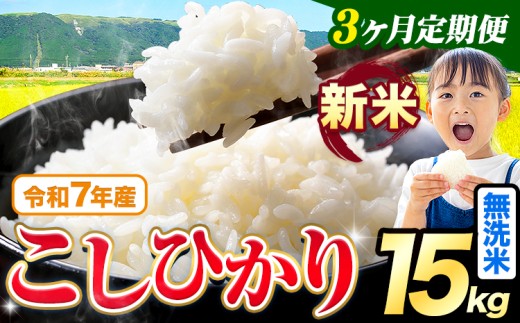 【3ヶ月定期便】令和7年産 新米 無洗米 こしひかり 15kg《お申込み翌月出荷》熊本県産 ふるさと納税 無洗米 精米 ひの 米 こめ ふるさとのうぜい コシヒカリ コメ お米 おこめ