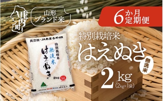 ＜10月中旬発送＞庄内米6か月定期便！特別栽培米 はえぬき無洗米 2kg（入金期限：2025.9.25）