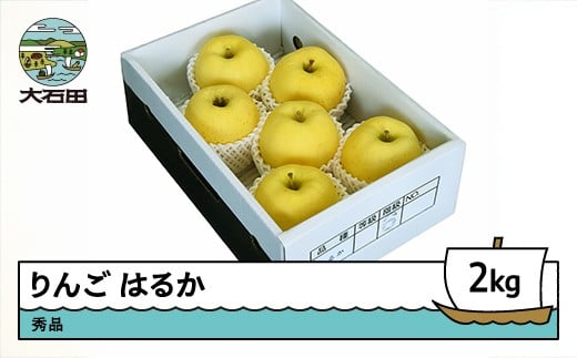りんご はるか 約2kg 2025年産 令和7年産 果物 フルーツ 山形県 ry-rihax2000