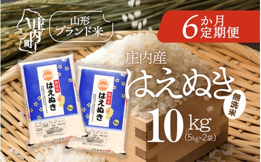 ＜10月中旬発送＞庄内米6か月定期便！はえぬき無洗米 10kg（入金期限：2025.9.25）