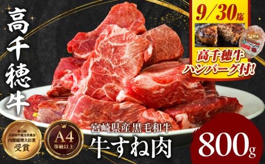 【期間限定】宮崎県産黒毛和牛A4等級以上 高千穂牛すね肉　800g + 高千穂牛100％ハンバーグ1個|  牛肉 肉 お肉 牛すね肉  国産牛 ブランド牛 和牛 牛肉 国産 ハンバーグ パック 冷凍 料理 煮込み料理 ビーフシチュー おでん  おかず |_Tk002-074