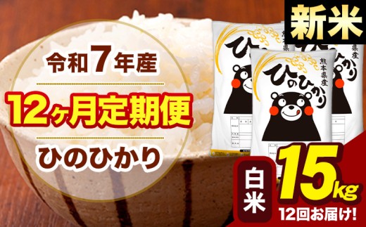 新米 令和7年産 【12ヶ月定期便】 白米 米 ひのひかり 15kg《お申し込み月の翌月から出荷開始》熊本県 大津町 国産 熊本県産 白米 送料無料 ヒノヒカリ こめ お米 
