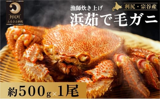 【2026年先行受付 2月発送開始】利尻・宗谷産 浜茹で毛ガニ 500g前後×1尾 北海道 浜ゆで 毛蟹 冷蔵配送 カニ 毛ガニ 蟹 茹で蟹 魚介類