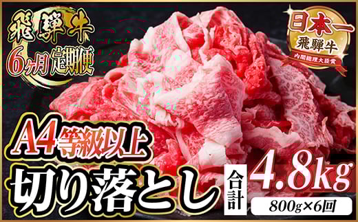 レビューキャンペーン実施中!＜毎月定期便＞飛騨牛 厳選切り落とし 計4.8kg全6回　小分け【4055981】