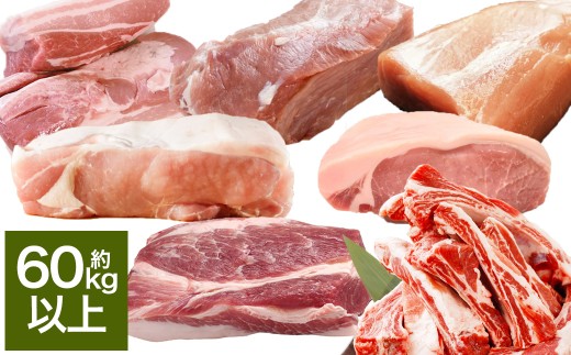 【豚1頭分！】完全無薬！梅肉エキス肥育 熊本県産 天草梅肉ポーク 食べ尽くしセット