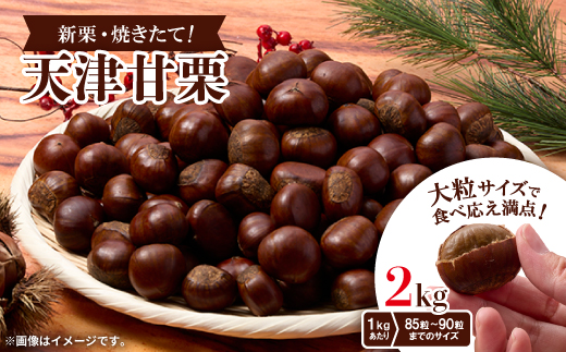 ＜2kg＞新栗ビックサイズ!!焼きたて!!