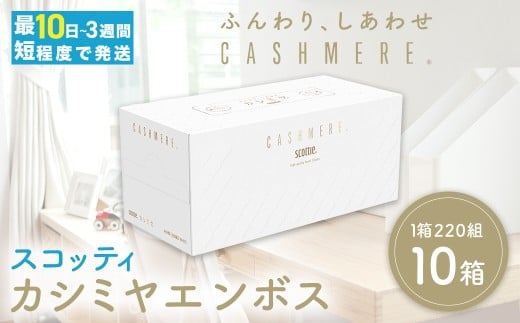 スコッティカシミヤエンボス 10箱  ｜ 