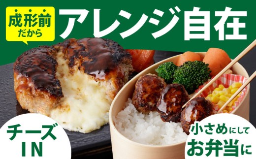 【全3回定期便】老舗の佐賀牛ハンバーグ 佐賀牛 ハンバーグ 牛肉 冷凍 はんばーぐ お惣菜 おかず 小分け 個包装 