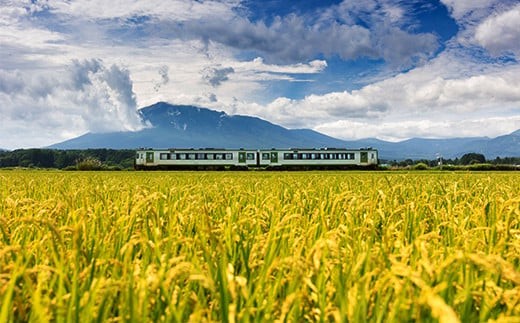 岩手山と田園風景の間を花輪線が駆け抜けていくのどかな風景も楽しめます。