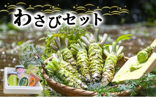 とれたて わさび セット 滝 生産者直送 生わさび 2本 手作り わさび漬け 天城の春 三杯酢漬け わさびみそ むらさき漬 醤油漬け 伊豆 ワサビ 茎 加工品 加工食品 薬味 詰め合わせ 静岡 調味料 [№5227-0348]
