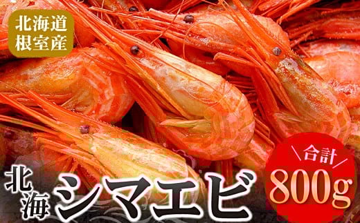 A-56014 【北海道根室産】北海シマエビ800g(80~130尾) 265030 - 北海道根室市