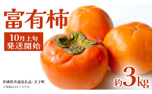 富有柿 約3kg 【2025年10月上旬発送開始】(茨城県共通返礼品：大子町) 柿 カキ かき 果物 フルーツ 旬 季節限定 期間限定