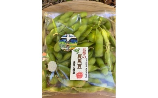 【先行予約／数量限定50】新丹波黒枝豆さや 500g（250g×2パック）（栽培期間中農薬・化学肥料・除草剤不使用）（2025年10月中旬～発送）　KU00067