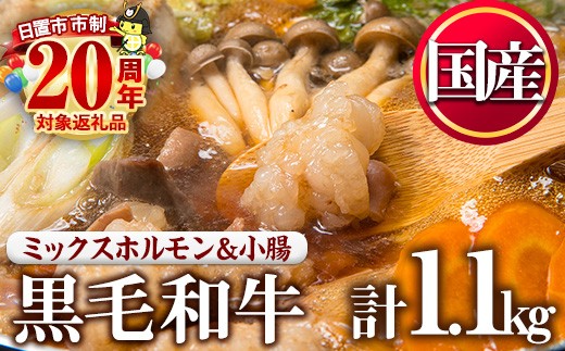 No.1001-04 国産黒毛和牛ミックスホルモン、上ホルモン(合計1.1kg)【カミチク】