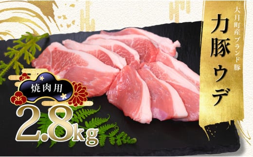 【高知県 大月町産ブランド豚】力豚ウデ焼き肉用2.8kg 2262363 - 高知県大月町
