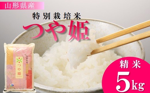 【令和7年産・精米】竹原田ファームの特別栽培米つや姫5kg　※10月中旬頃から順次配送