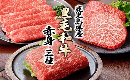 黒毛和牛赤身セット　C0-73_ A5等級 黒毛和牛 ステーキ 赤身ブロック 赤身スライス 冷凍 肉 【1628783】 2140712 - 鹿児島県枕崎市