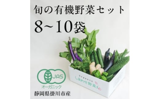 ＜毎月定期便＞しあわせ野菜畑の有機野菜　Mセット　(安心の有機JAS認証　オーガニック野菜)全12回【4066006】