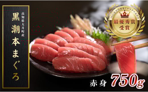【高知県大月町産 本マグロ】 赤身750g