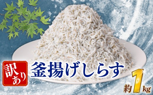 訳あり 釜揚げしらす 約1kg しらす 冷凍 大容量 惣菜 便利 弁当 晩ごはん 白州 白子魚介類 魚介類 海鮮 わけあり 小魚 魚 鮮魚 グルメ 人気 海の幸 ふりかけ ちりめん しらすご飯 国産 じゃこ しらす丼 人気 塩分控えめ 減塩 安芸市 高知県