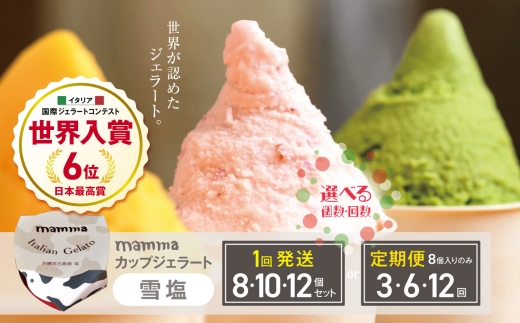 mammaカップジェラート 雪塩 12個セット | アイス クリーム ジェラート お菓子 おやつ 雪塩 ヘルシー アイスクリーム 奈良県 平群町