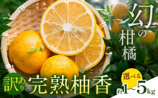 [ 予約受付開始 ] 訳あり 完熟柚香 ゆこう 選べる内容量 約1kg 約3kg 約5kg シシトトラ[11月中旬-12月下旬頃出荷] │ 柑橘 家庭用 柑橘 訳あり 柑橘 徳島県 柑橘 ご当地食材 レア 幻の果実 ぽん酢 加工用 柑橘 完熟 フルーツ 徳島県 上勝町