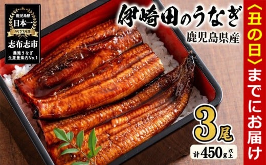 【丑の日までに配送】【数量限定】鹿児島県産 伊崎田のうなぎ蒲焼 中<150g以上>× 3尾(計450g以上) 鰻 うなぎ ウナギ 蒲焼き 3尾 国産 九州産 鹿児島県産 冷凍 おつまみ 鰻重 うな丼 b1-020-us 1985214 - 鹿児島県志布志市