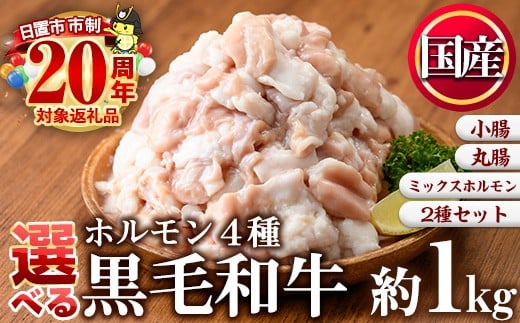 No.1001 ＜4種から選べる＞国産！黒毛和牛ホルモン(ミックスホルモン計1kg/上ホルモン計1kg/丸腸計1kg/ミックスホルモン＋小腸合計1.1kg)  国産 九州産 牛肉 黒毛和牛 和牛 ホルモン 焼肉 鉄板焼き もつ鍋 タレ漬け 冷凍 小分け 市制20周年【カミチク】