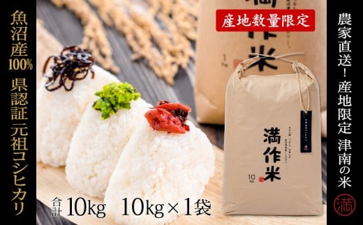 【2025年産新米】【県認証】元祖魚沼産従来コシヒカリ 10kg×1袋 713870 - 新潟県津南町